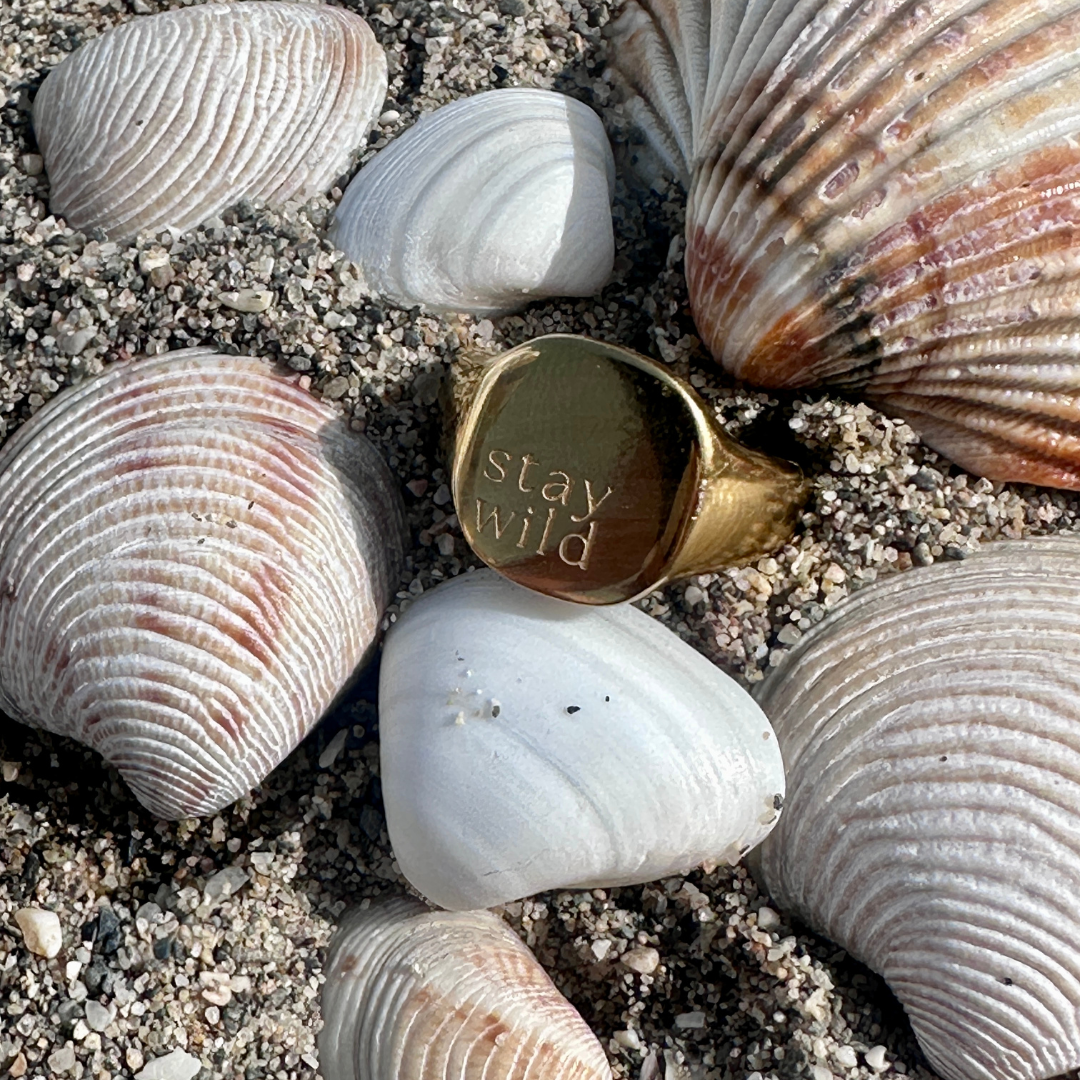 waterproof gold signet ring in sand with shells