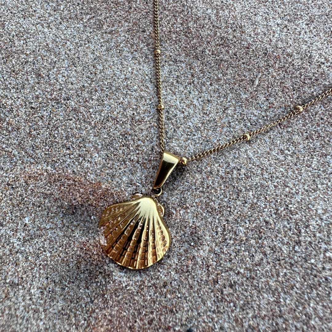 Meet Me At The Beach Shell Charm Necklace