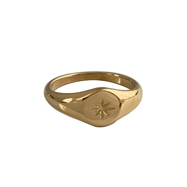 Astra Signet Ring - Ocean Native