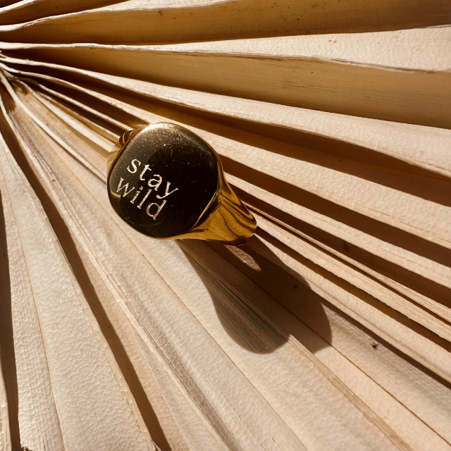 Stay Wild Signature Signet Ring - Gold & Silver - Ocean Native