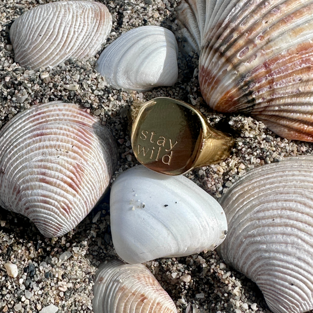 waterproof gold signet ring in sand with shells 